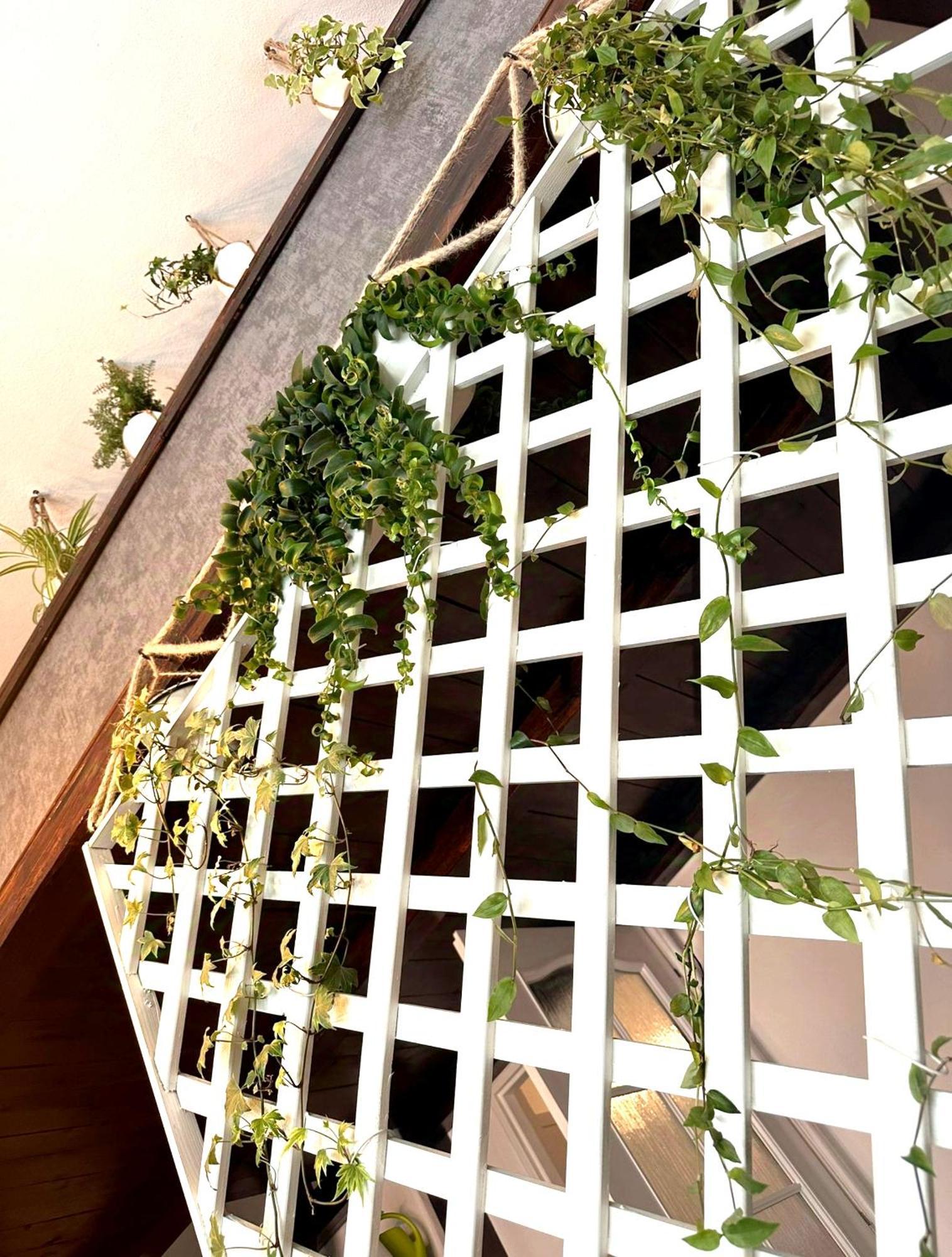 Green Garden Decin Exterior foto